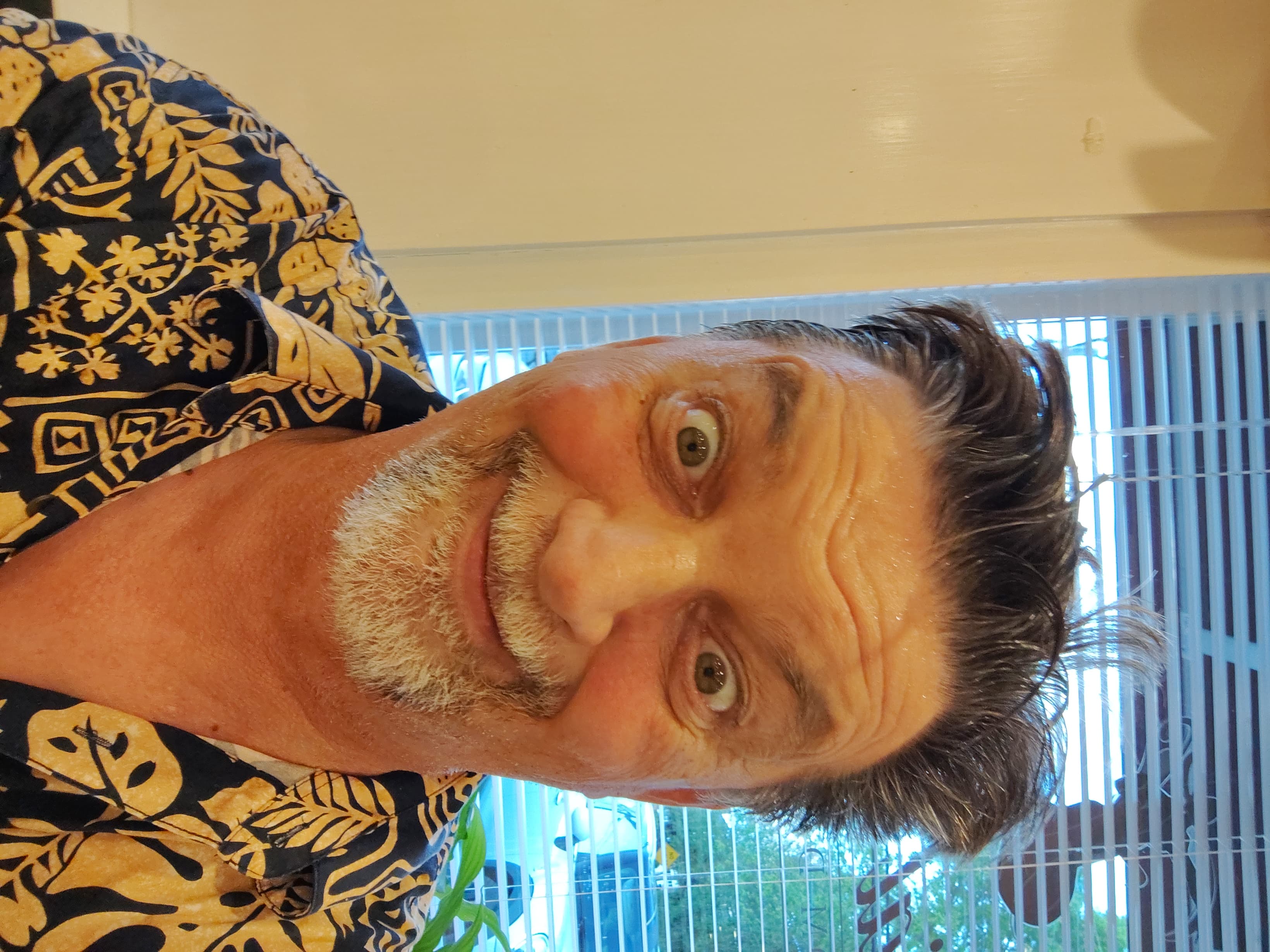 Francois Flipski